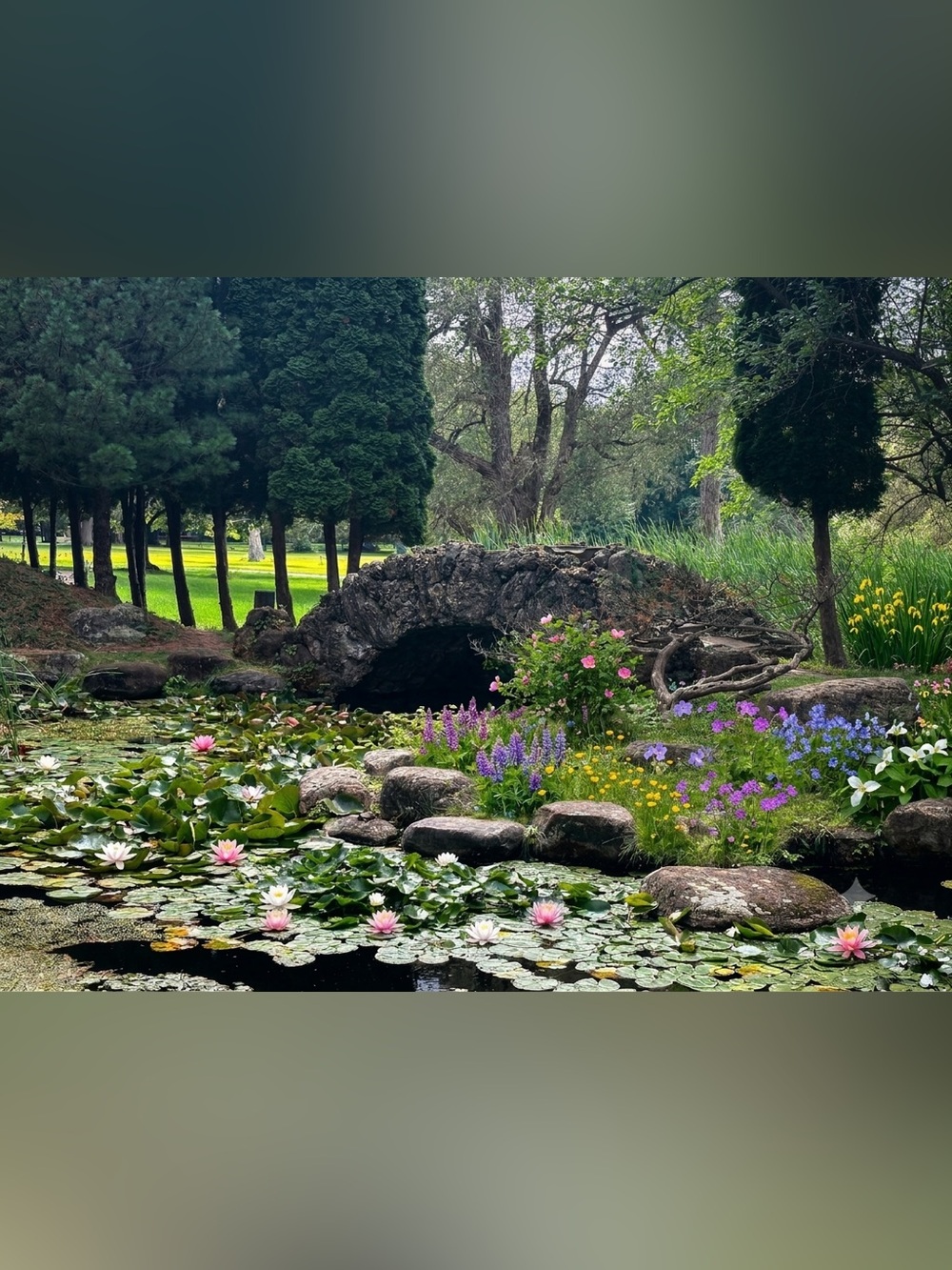 Tranquil Green Floral Pond Photography Print